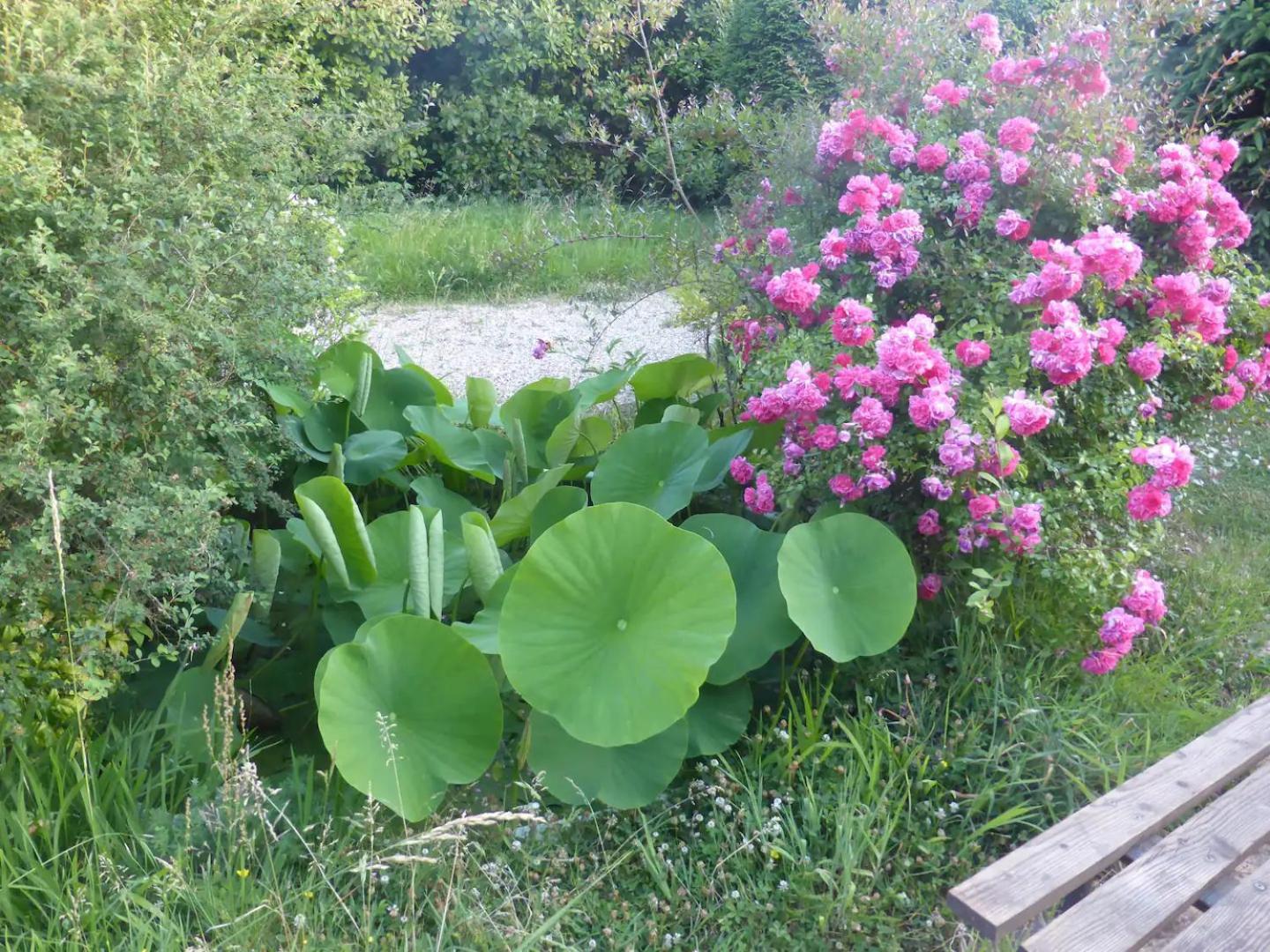 La Maison De L'Ecolieu Du Turc - Piscine Partagee Le Mas-dʼAgenais Esterno foto