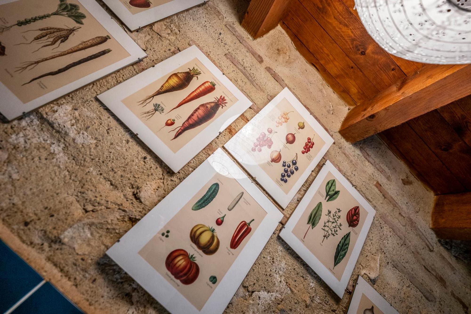 La Maison De L'Ecolieu Du Turc - Piscine Partagee Le Mas-dʼAgenais Esterno foto